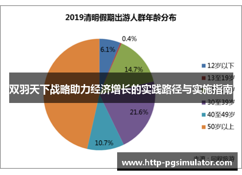 双羽天下战略助力经济增长的实践路径与实施指南