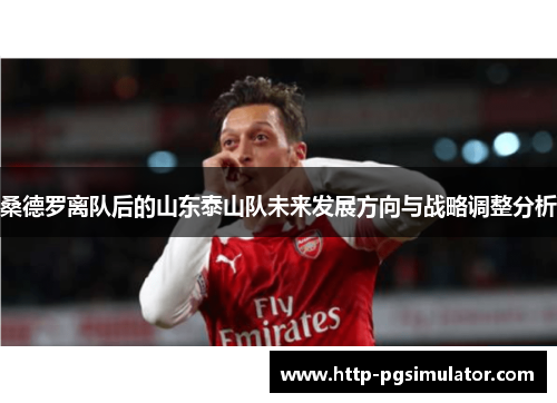 桑德罗离队后的山东泰山队未来发展方向与战略调整分析