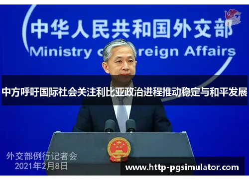 中方呼吁国际社会关注利比亚政治进程推动稳定与和平发展