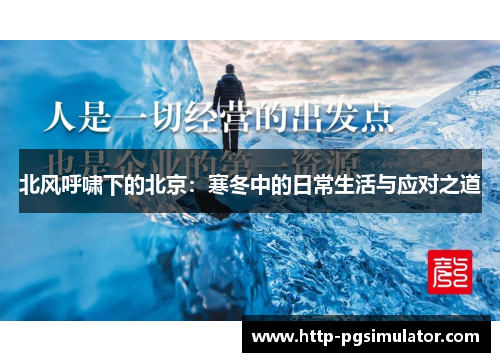 北风呼啸下的北京：寒冬中的日常生活与应对之道