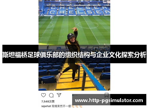 斯坦福桥足球俱乐部的组织结构与企业文化探索分析