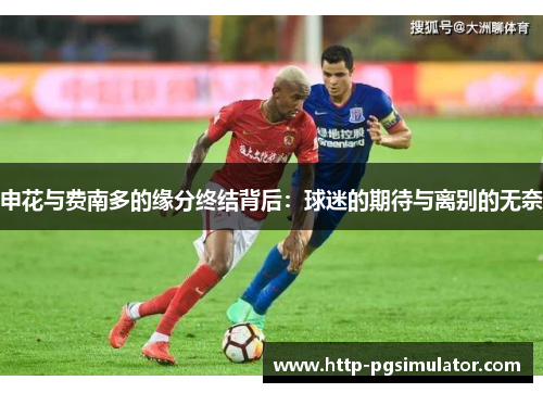 申花与费南多的缘分终结背后：球迷的期待与离别的无奈