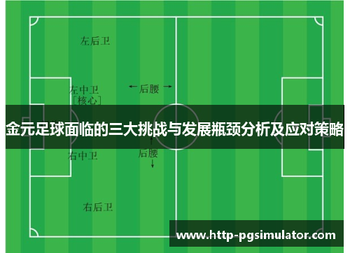 金元足球面临的三大挑战与发展瓶颈分析及应对策略
