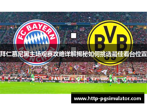 拜仁慕尼黑主场观赛攻略详解揭秘如何挑选最佳看台位置
