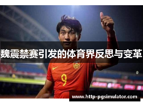 魏震禁赛引发的体育界反思与变革