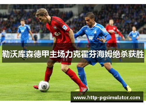 勒沃库森德甲主场力克霍芬海姆绝杀获胜 勒沃库森德甲主场力克霍芬海姆绝杀获胜